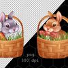 Rabbits in Baskets B02.jpg
