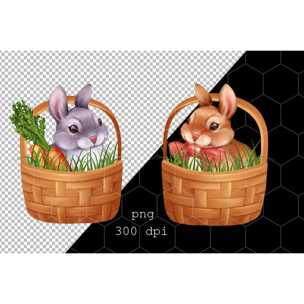 Rabbits in Baskets B02.jpg