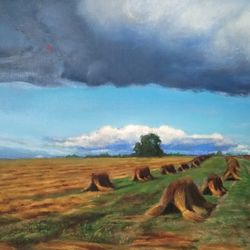 sheaves in the field