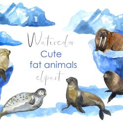 Watercolor clipart. Baby Seal PNG Cute Baby animals Seal png. Watercolor sea animals clipart. Baby shower, nursery decor