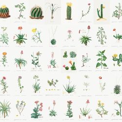 200 PCS  Vintage wall collage kit DIGITAL DOWNLOAD | Vintage Botanical Collage Kit, Photo Wall Collage Set 4x6