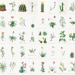 200 pcs  vintage wall collage kit digital download | vintage botanical collage kit, photo wall collage set 4x6