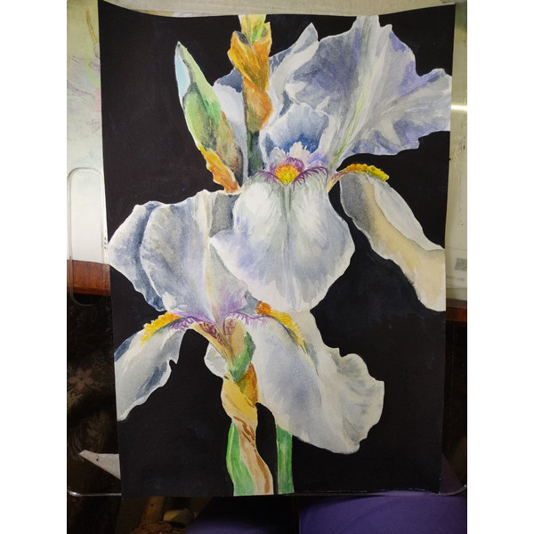 white flowers painting original watercolor artwork irises painting1.jpg