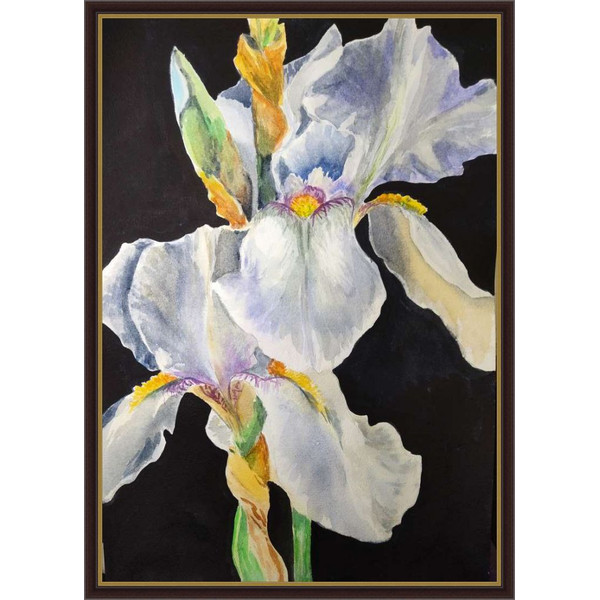 white flowers painting original watercolor artwork irises painting5.jpg