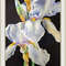 white flowers painting original watercolor artwork irises painting6.jpg