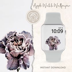 Apple Watch Wallpaper | Carnation Flower Floral Macro Apple Watch Face |  Smart Watch Background