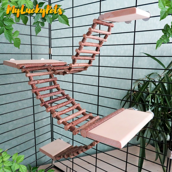 Large wooden ladder with 4 platforms for small rodents. Haze | Inspire ...