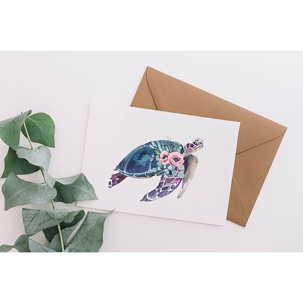 turtle postcard.jpg