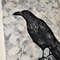Hand-drawn-bird-raven-by-acrylic-paints-6.jpg