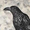 Hand-drawn-bird-raven-by-acrylic-paints-7.jpg