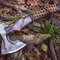 Custom Gift Forged Carbon Steel Viking Axe Hatchet Rose Wood Shaft, Throwing Bearded Camping Axe, Best Birthday & Anniversary Gift For Him (8).jpg