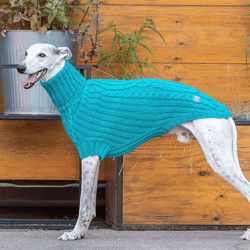 Comfy sweater for whippet. Back length 23 inch. Warm knitted clothes for a dog.