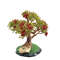 Realistic-artificial-bonsai-tree.jpeg