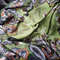 paisley scarf green (12).jpg