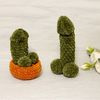 easy crochet pattern funny plush toy crochet penis dick set cactus.jpeg