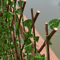 retractablefencewithleaves3.png
