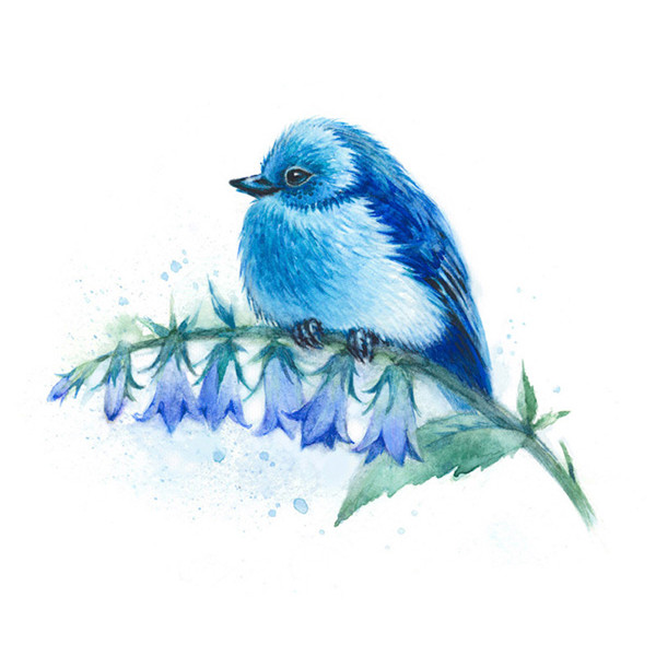 Blue_Bird_watercolor_print.jpg