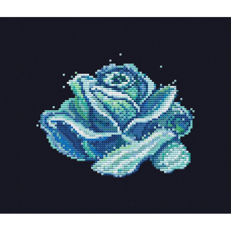 Ocean Rose picture.jpg