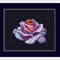 Galaxy Rose framed 2.png