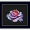 Galaxy Rose ftamed 1.png