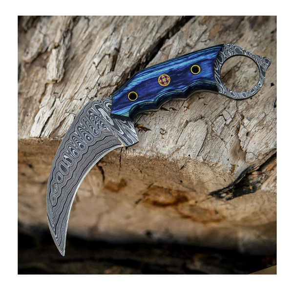 Handmade Damascus karambit knife with sheath  Survival knife  Fixed blade knife  Gift for Him  Fathers Day gift (5).jpg