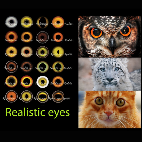 Realistic irises of the eyes