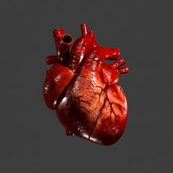 STL File Heart 3D model fo 3D printed