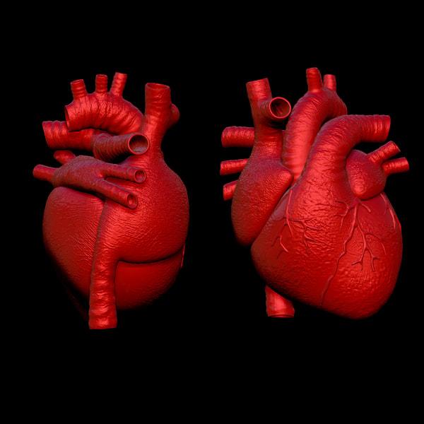 STL File Heart 3D model fo 3D printed | Inspire Uplift