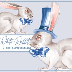 White Rabbit clipart. Watercolor bunny PNG clipart. Digital download