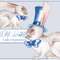 White rabbit 2 banner (0).jpg