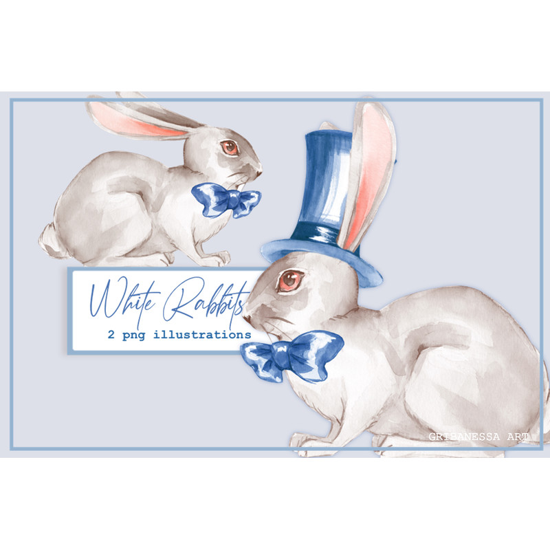 White rabbit 2 banner (0).jpg