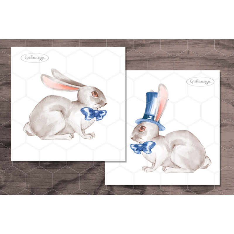 White rabbit 2 banner (2)wtrmrk.jpg