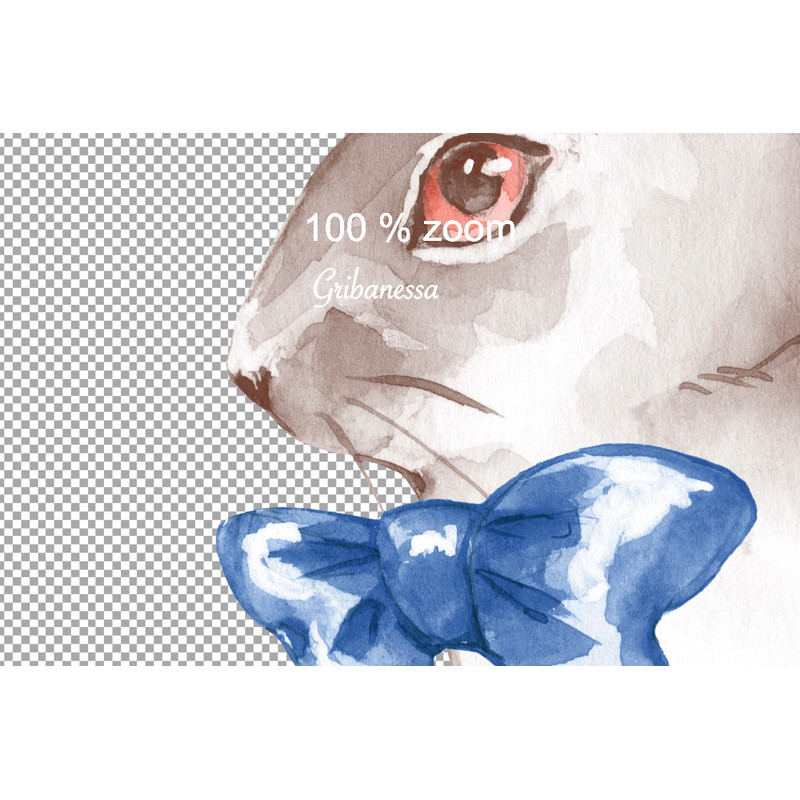 White rabbit 2 banner (1).jpg