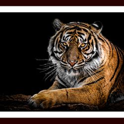 Tiger Wall Scenery  For Home And Office Decor 45X30 Cm Wooden Glass Framed For Home Decor & Gifting.