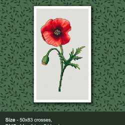 Red poppy cross stitch pattern Flower embroidery PDF