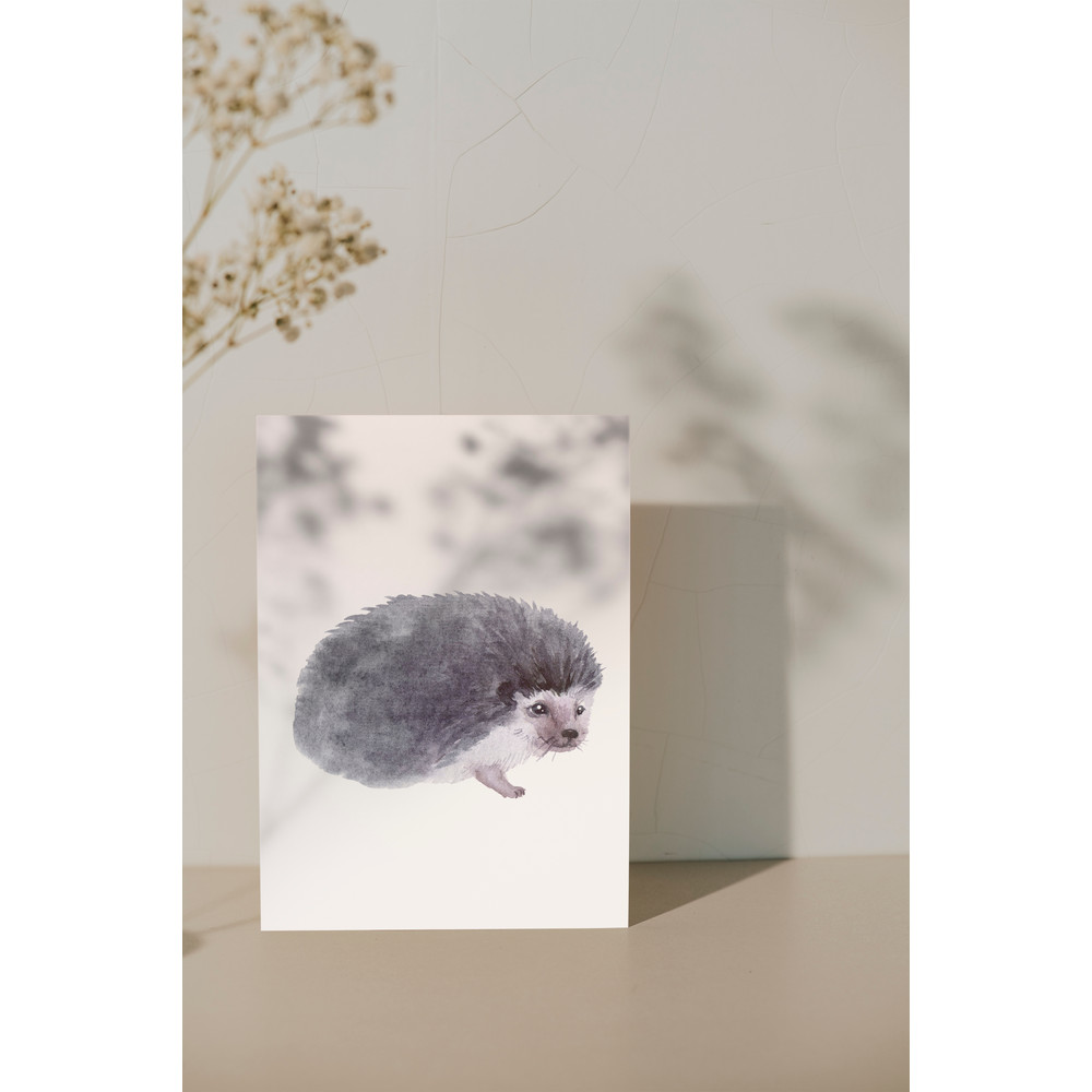 hedgehog .jpg