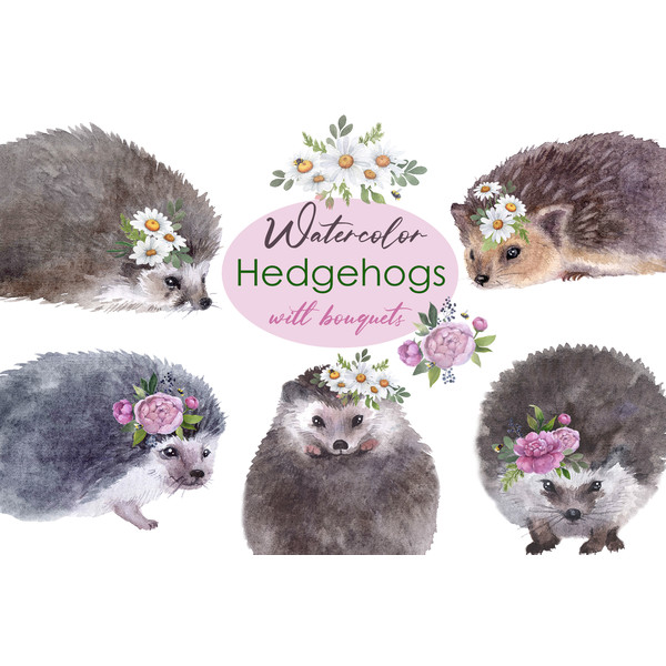 watercolor forest hedgehogs.jpg