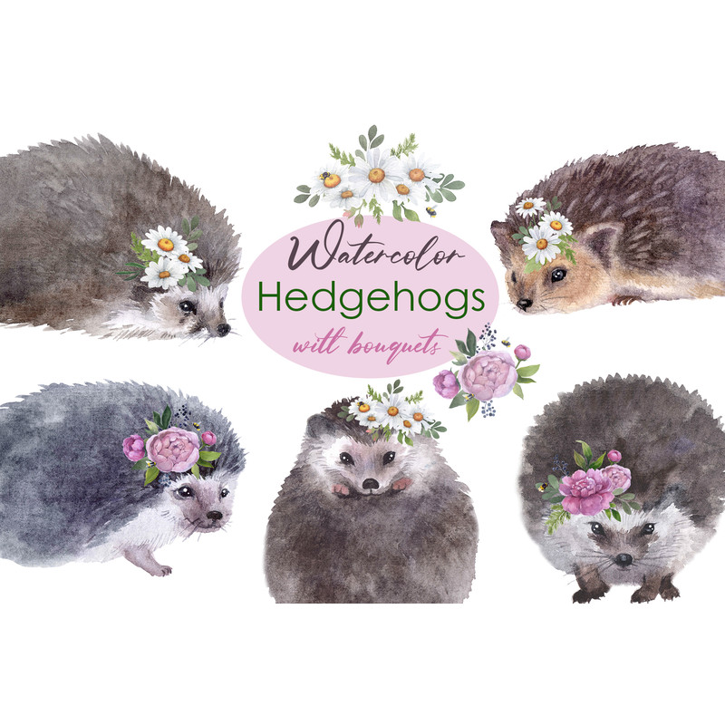 watercolor forest hedgehogs.jpg