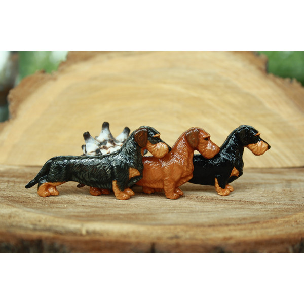 dog show clip ring Wire-haired   dachshund