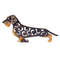 Figurine wildboar Wirehaired dachshund