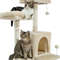 two-cats-on-the-cat-tree