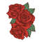 Red roses3.jpg