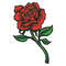 Red roses4.jpg