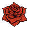 Red roses9.jpg