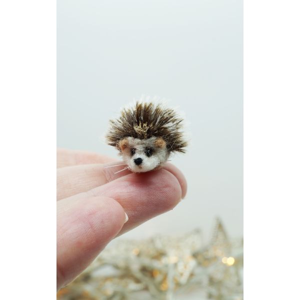 tiny-hedgehog-2