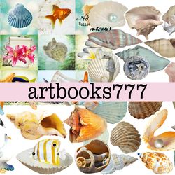 ocean-beach-ephemera-4, scrapbooking, digital paper, sheets for a book or journale, shells, sea, beach, marine, vintage