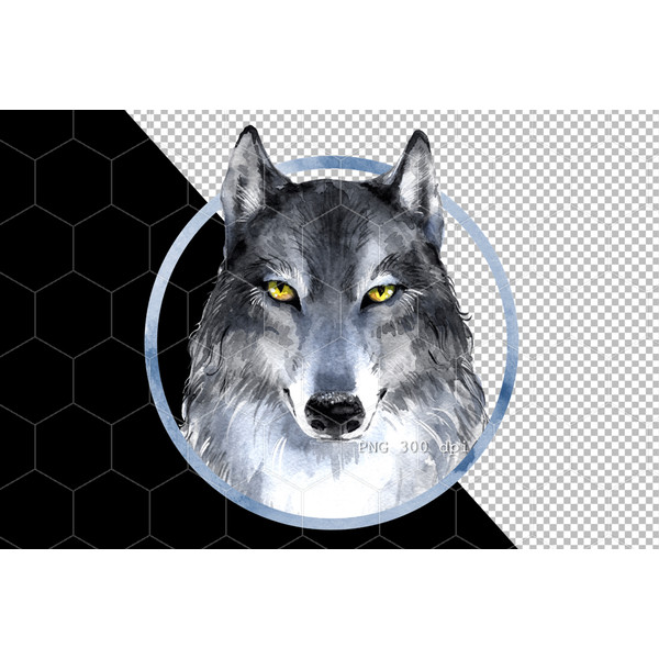 Wolf 2 banner (4).jpg