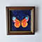 Handwritten-bright-red-and-yellow-butterfly-by-acrylic-paints-1.jpg