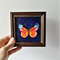 Handwritten-bright-red-and-yellow-butterfly-by-acrylic-paints-4.jpg