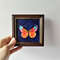 Handwritten-bright-red-and-yellow-butterfly-by-acrylic-paints-7.jpg